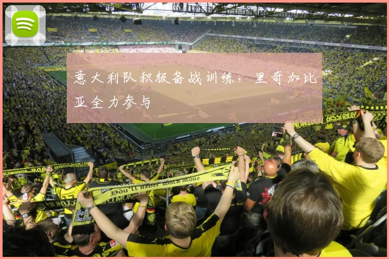 意大利队积极备战训练，里奇加比亚全力参与