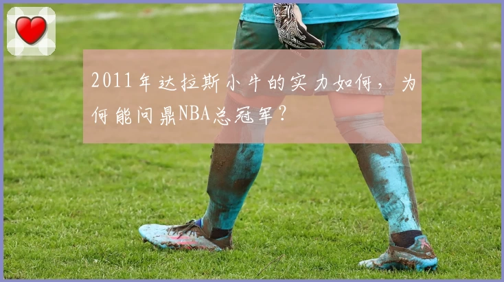 2011年达拉斯小牛的实力如何，为何能问鼎NBA总冠军？