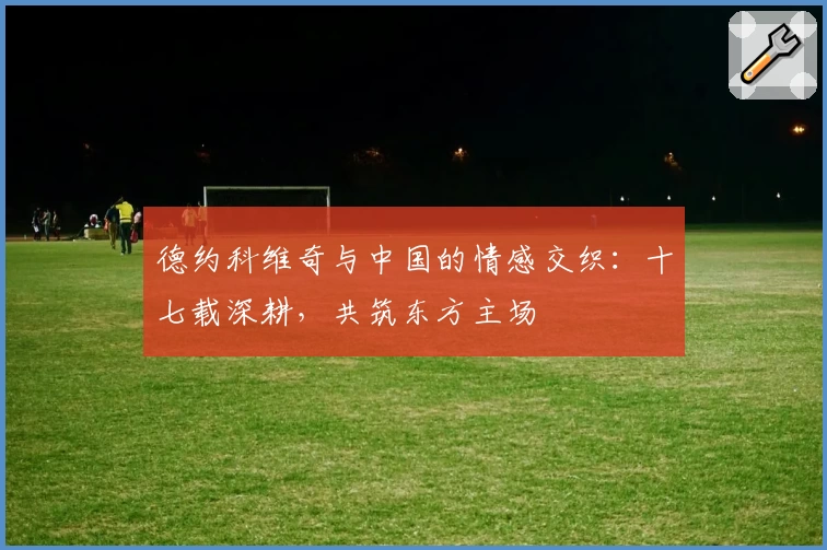德约科维奇与中国的情感交织：十七载深耕，共筑东方主场